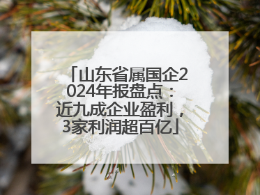 山东省属国企2024年报盘点：近九成企业盈利，3家利润超百亿
