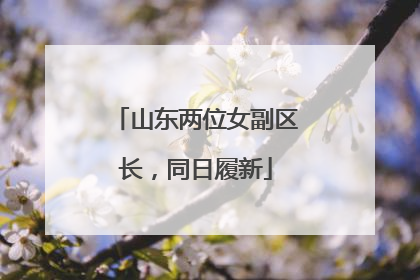 山东两位女副区长，同日履新