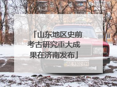 山东地区史前考古研究重大成果在济南发布