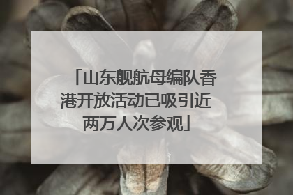 山东舰航母编队香港开放活动已吸引近两万人次参观
