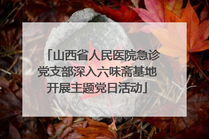 山西省人民医院急诊党支部深入六味斋基地开展主题党日活动