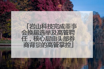 岩山科技完成董事会换届选举及高管聘任，核心层由头部券商背景的高管掌控