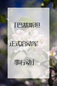 巴基斯坦正式启动军事行动