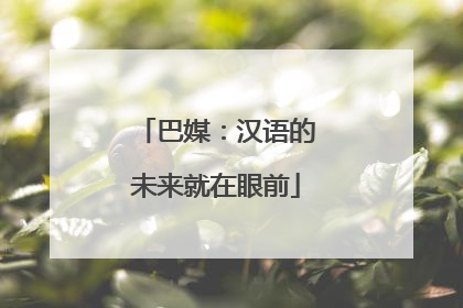 巴媒：汉语的未来就在眼前
