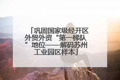 巩固国家级经开区外贸外资“第一梯队”地位——解码苏州工业园区样本