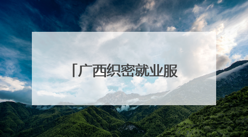 广西织密就业服务保障网 精准帮扶青年就业