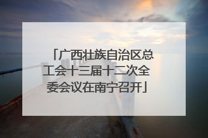 广西壮族自治区总工会十三届十二次全委会议在南宁召开