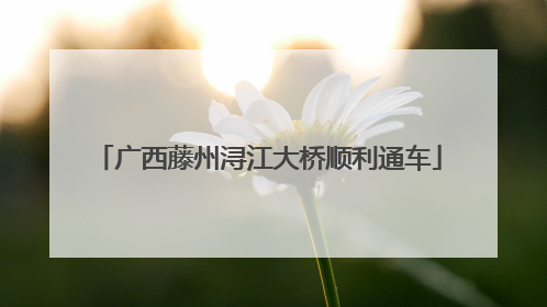 广西藤州浔江大桥顺利通车
