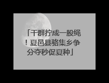 干群拧成一股绳！夏邑县骆集乡争分夺秒促夏种