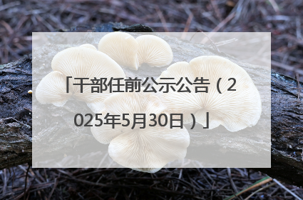干部任前公示公告（2025年5月30日）