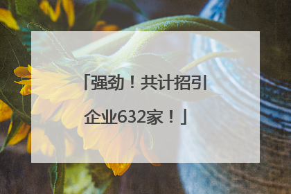 强劲！共计招引企业632家！
