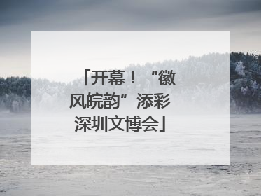 开幕！“徽风皖韵”添彩深圳文博会