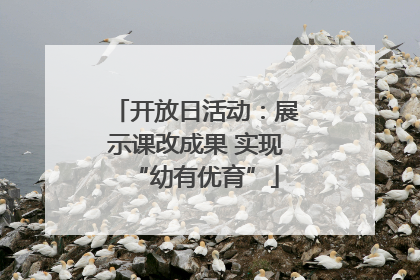 开放日活动：展示课改成果 实现“幼有优育”