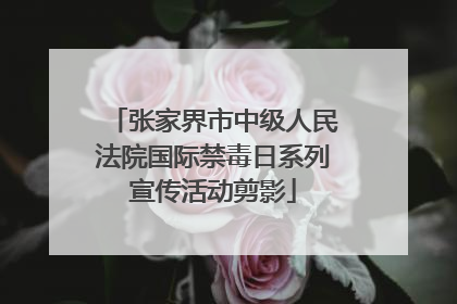 张家界市中级人民法院国际禁毒日系列宣传活动剪影