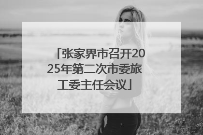 张家界市召开2025年第二次市委旅工委主任会议