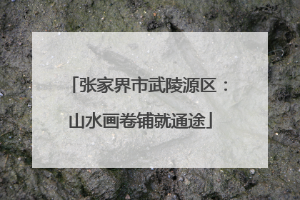 张家界市武陵源区：山水画卷铺就通途
