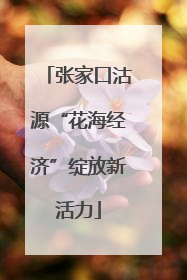 张家口沽源“花海经济”绽放新活力