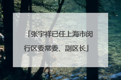 张宇祥已任上海市闵行区委常委、副区长