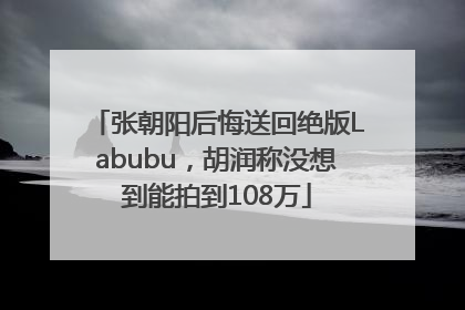 张朝阳后悔送回绝版Labubu，胡润称没想到能拍到108万