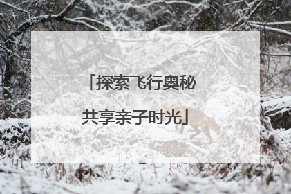 探索飞行奥秘 共享亲子时光