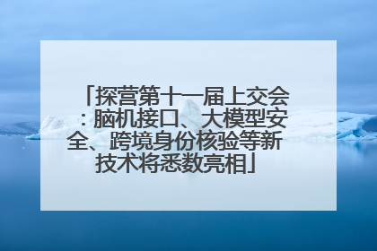 探营第十一届上交会：脑机接口、大模型安全、跨境身份核验等新技术将悉数亮相