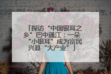 探访“中国银耳之乡”巴中通江：一朵“小银耳”成为富民兴县“大产业”