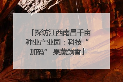 探访江西南昌千亩种业产业园：科技“加码” 果蔬飘香