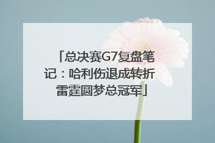 总决赛G7复盘笔记：哈利伤退成转折 雷霆圆梦总冠军