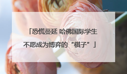 恐慌蔓延 哈佛国际学生不愿成为博弈的“棋子”