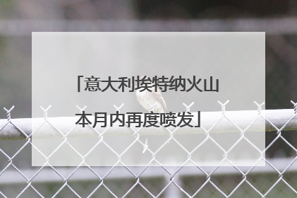 意大利埃特纳火山本月内再度喷发