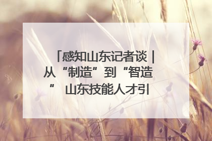 感知山东记者谈｜从“制造”到“智造” 山东技能人才引领产业升级