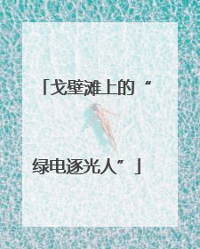 戈壁滩上的“绿电逐光人”