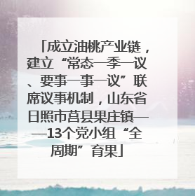 成立油桃产业链，建立“常态一季一议、要事一事一议”联席议事机制，山东省日照市莒县果庄镇——13个党小组“全周期”育果