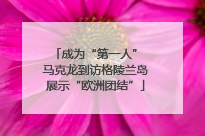 成为“第一人” 马克龙到访格陵兰岛展示“欧洲团结”