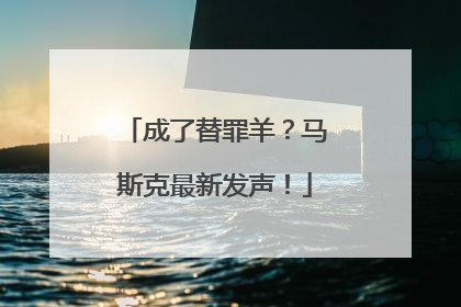 成了替罪羊？马斯克最新发声！