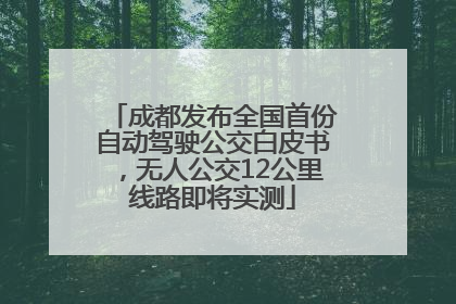 成都发布全国首份自动驾驶公交白皮书，无人公交12公里线路即将实测