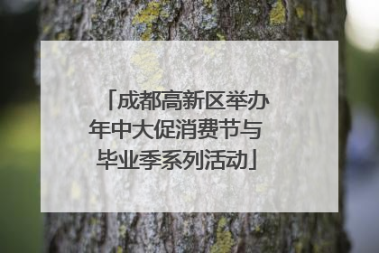 成都高新区举办年中大促消费节与毕业季系列活动