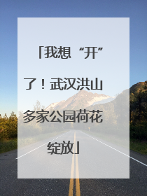 我想“开”了！武汉洪山多家公园荷花绽放