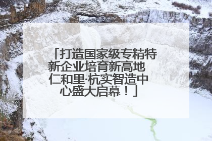 打造国家级专精特新企业培育新高地 仁和里·杭实智造中心盛大启幕！