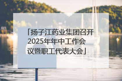 扬子江药业集团召开2025年年中工作会议暨职工代表大会