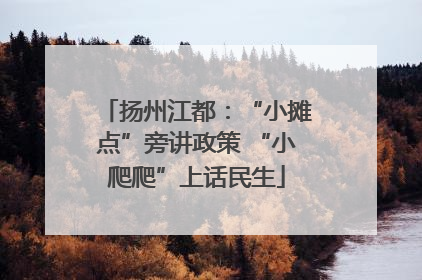 扬州江都：“小摊点”旁讲政策 “小爬爬”上话民生