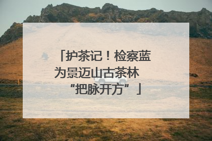 护茶记！检察蓝为景迈山古茶林 “把脉开方”