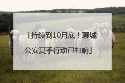 持续到10月底！聊城公安夏季行动已打响