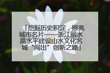 挖掘历史积淀，擦亮城市名片——浙江丽水高水平建设山水文化名城“闯出”创新之路