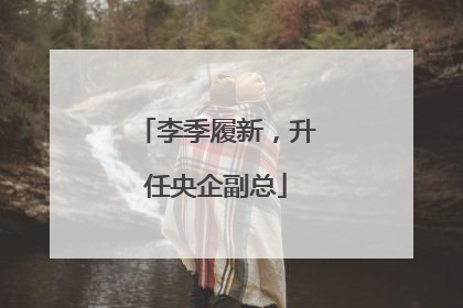 李季履新，升任央企副总