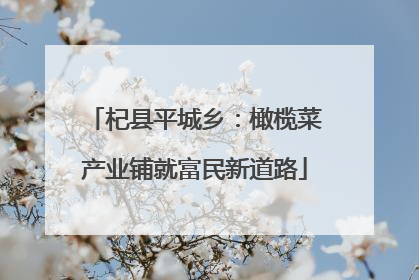 杞县平城乡：橄榄菜产业铺就富民新道路