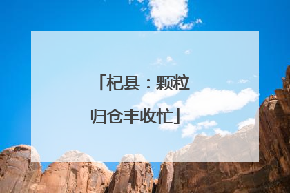 杞县：颗粒归仓丰收忙