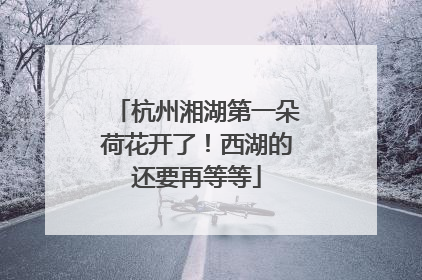 杭州湘湖第一朵荷花开了！西湖的还要再等等