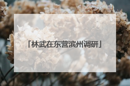 林武在东营滨州调研