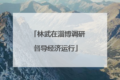 林武在淄博调研督导经济运行
